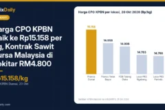 Harga CPO KPBN Naik ke Rp15.158 per Kg, Kontrak Sawit Bursa Malaysia di Sekitar RM4.800